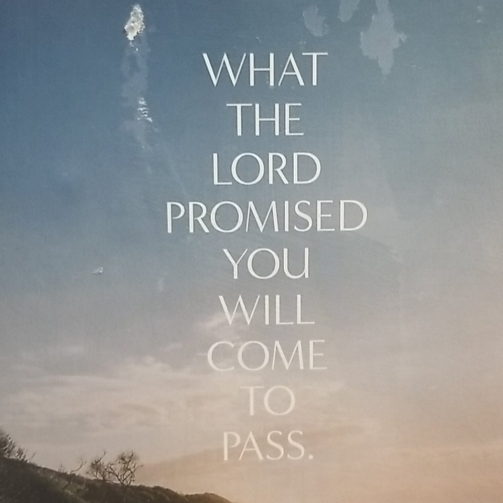 SALE! Joel Osteen Inspirational Wooden Sign